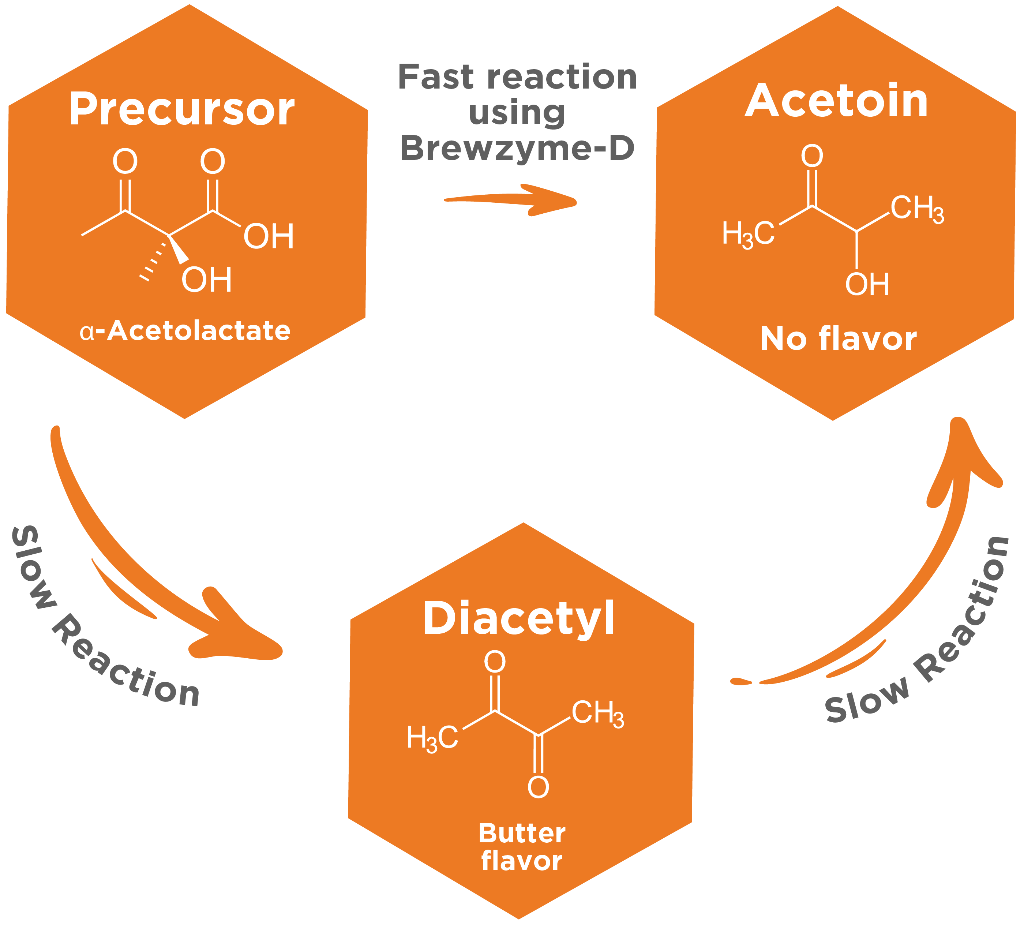 White Labs Brewzyme-D 10mL Cycle