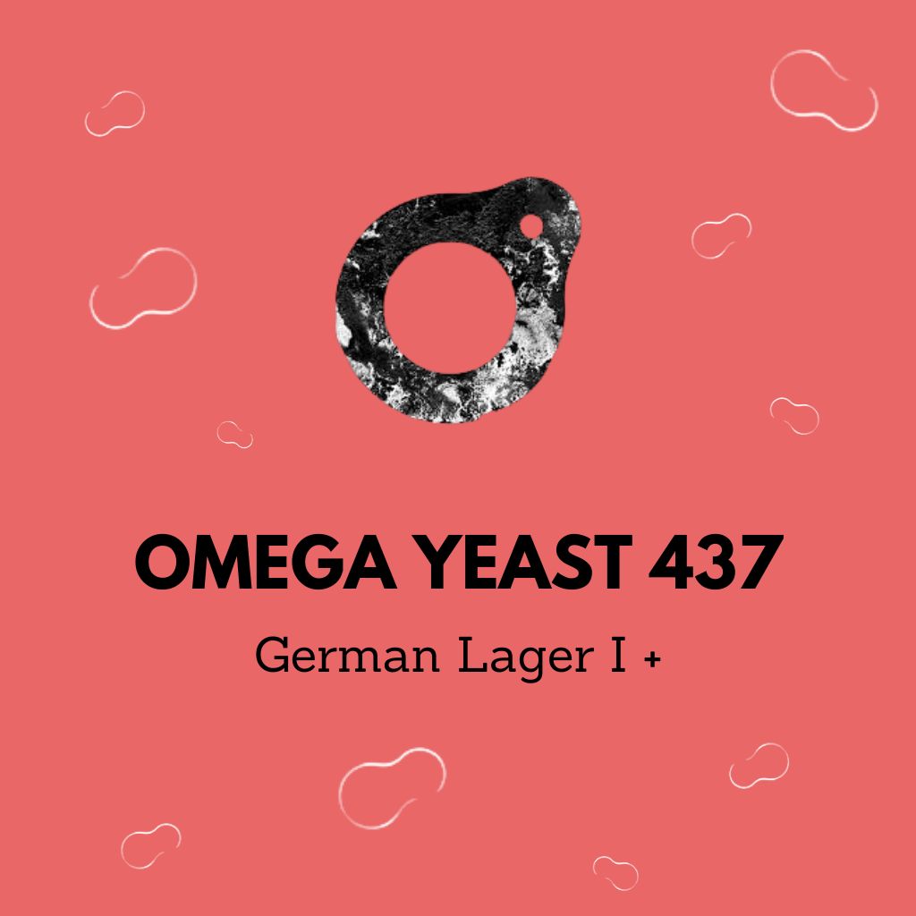 Omega Yeast OYL-437 - German Lager I +