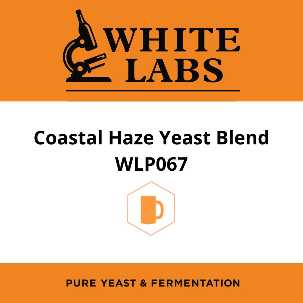 White Labs WLP067 - Coastal Haze Ale Yeast Blend