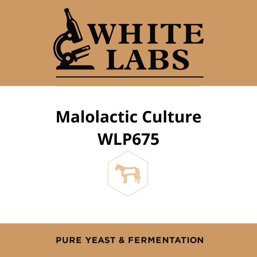 White Labs WLP675 - Malolactic Culture