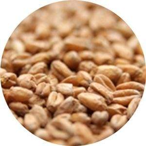 Carahell - (Weyermann)