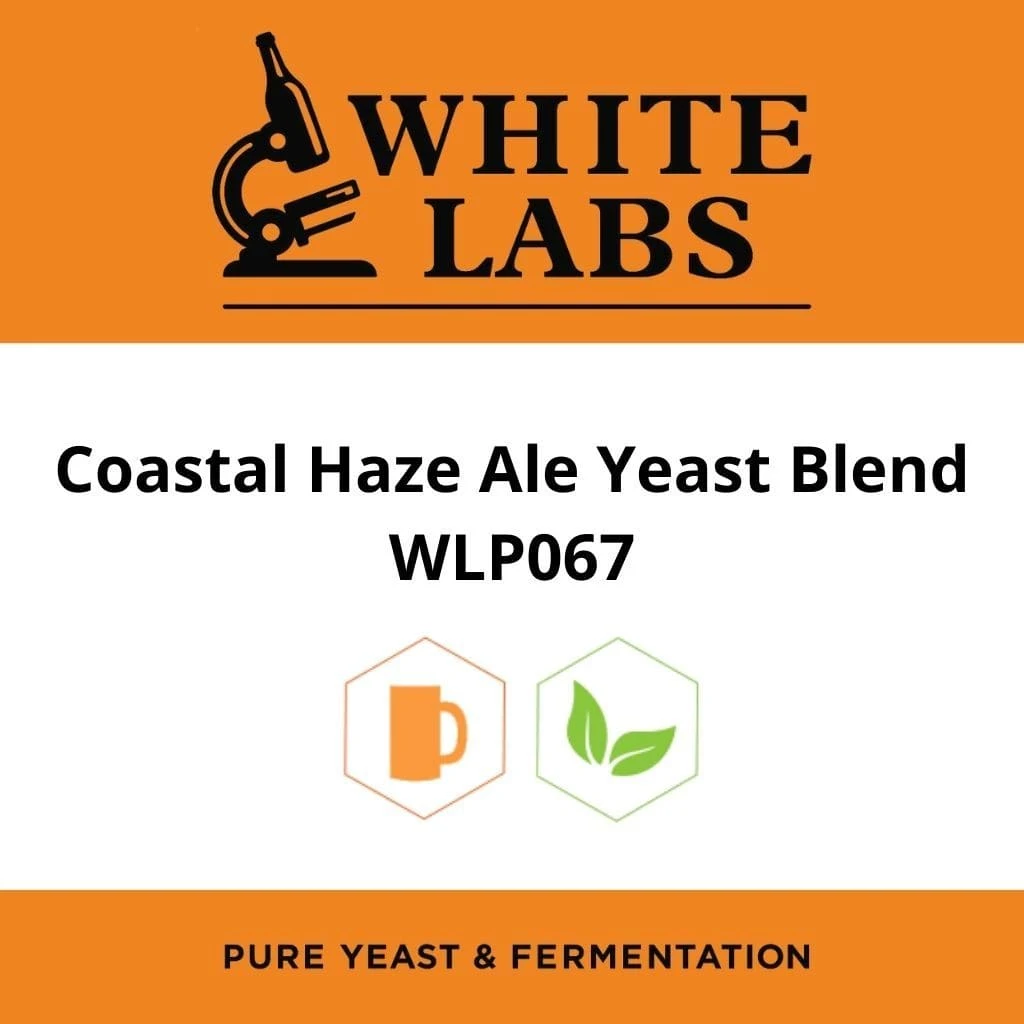 White Labs WLP067 - Coastal Haze Ale Yeast Blend