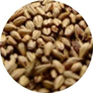 20L Caramel Malt - (Briess) - BrewSRQ