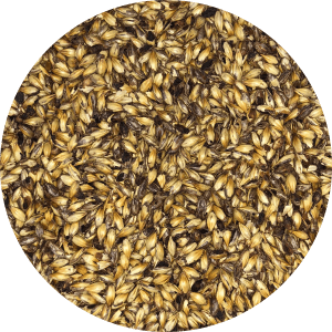 60L Caramel Malt - (Briess) - BrewSRQ