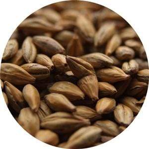 Amber - (Crisp) - BrewSRQ