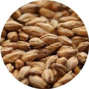 Beech Smoked - (Weyermann) - BrewSRQ