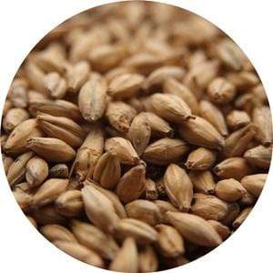 Best Ale - (Crisp) - BrewSRQ