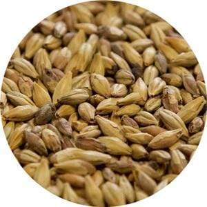 Biscuit - (Dingemans) - BrewSRQ