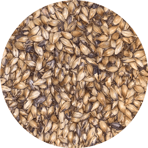 Cara 45 (CaraMunich) - (Dingemans) - BrewSRQ