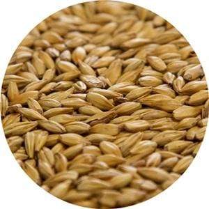 Cara 8 - (Dingemans) - BrewSRQ