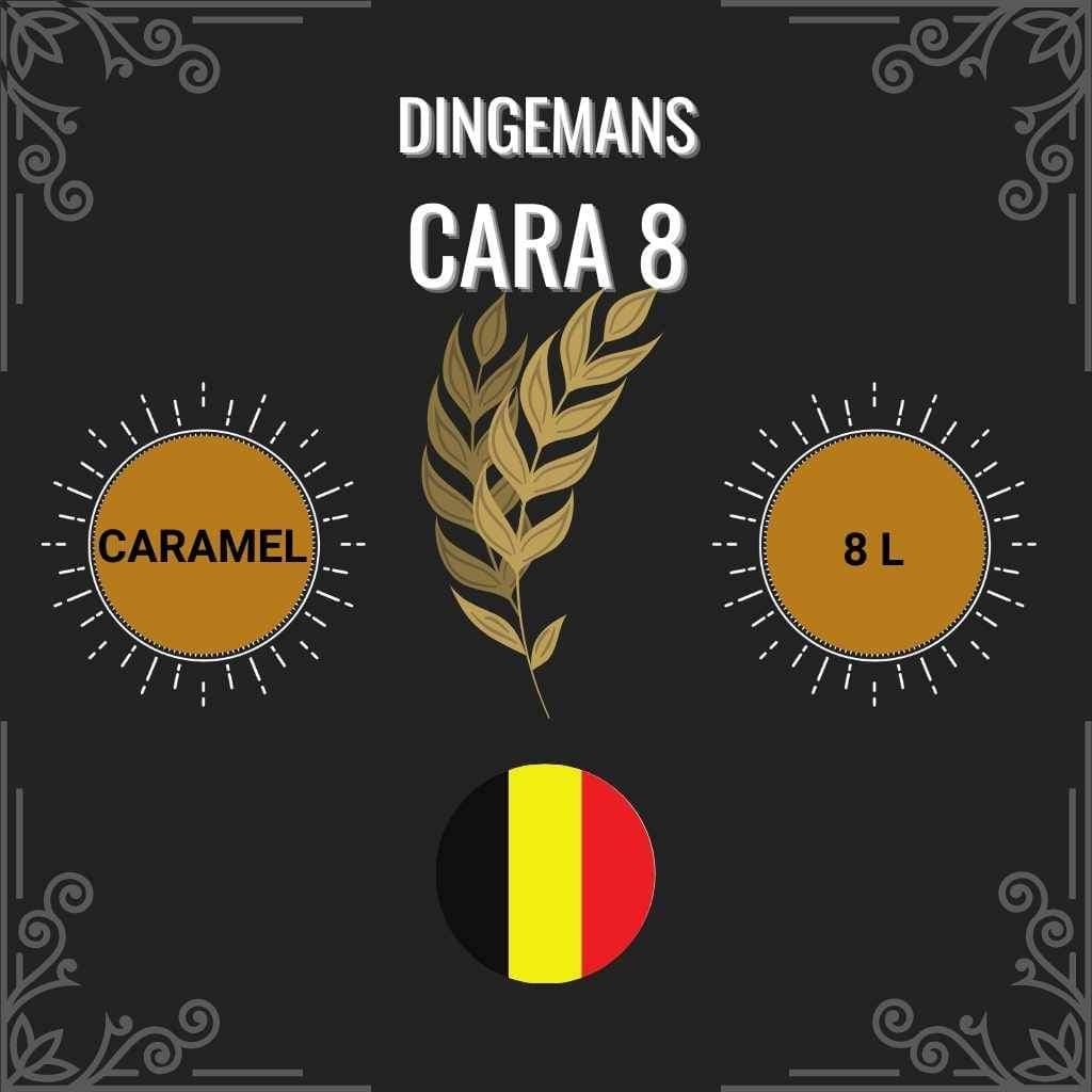 Cara 8 - (Dingemans)