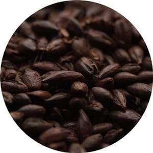 Carafa Special Type 1 - (Weyermann) - BrewSRQ