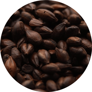 Carafa Special Type 2 - (Weyermann) - BrewSRQ