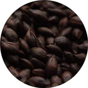 Carafa Special Type 3 - (Weyermann) - BrewSRQ