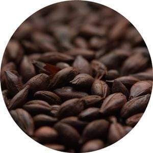 Carafa Type 1 - (Weyermann) - BrewSRQ