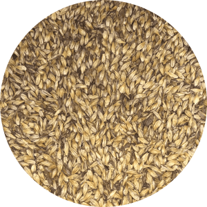Carapils Dextrin Malt - (Briess) - BrewSRQ