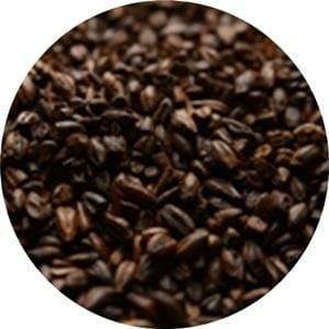 Chocolate 2 Row - (Briess) - BrewSRQ