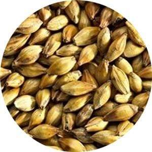 Crystal Dark - (Simpsons) - BrewSRQ