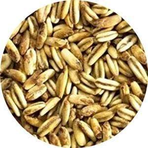 Golden Naked Oats - (Simpsons) - BrewSRQ