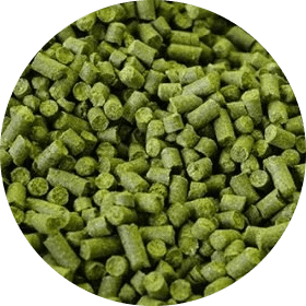 Hallertau Mittelfrüh