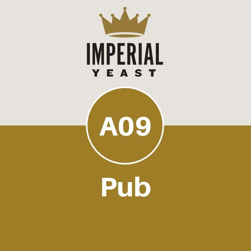 Imperial Yeast A09 - Pub