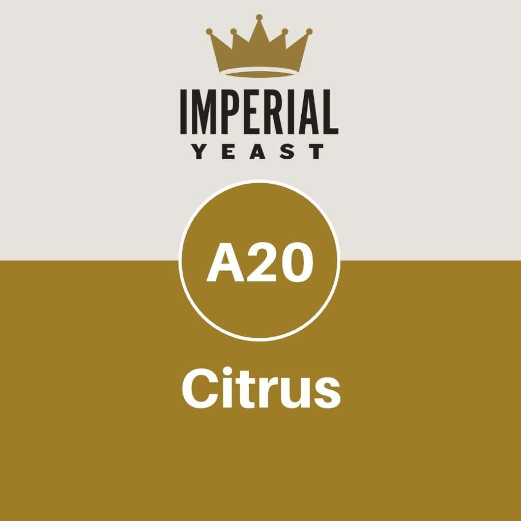 Imperial Yeast A20 - Citrus