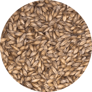 Maris Otter Pale Ale - (Crisp) - BrewSRQ