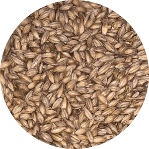 Maris Otter Pale Ale - (Crisp)