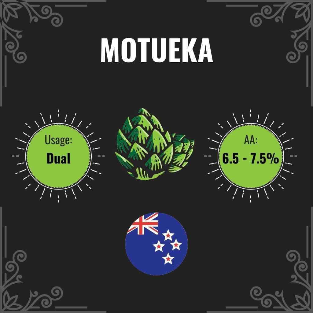 New Zealand Motueka hops 