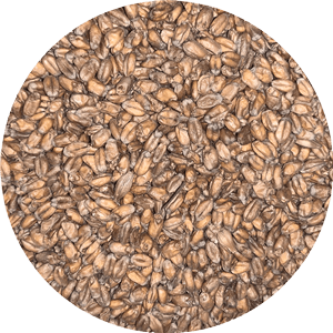 Oak Smoked Wheat Malt - (Weyermann) - BrewSRQ