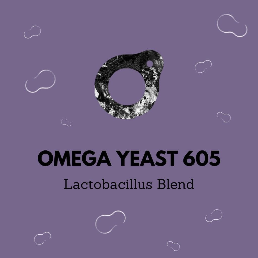 Omega Yeast OYL-605 - Lactobacillus Blend