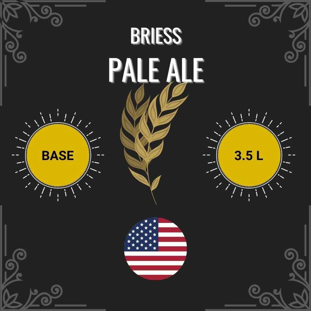 Pale Ale - (Briess)