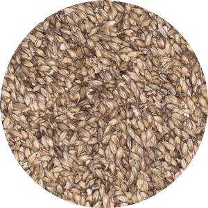 Pale Ale - (Briess) - BrewSRQ