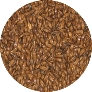 Pale Chocolate - (Crisp) - BrewSRQ