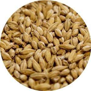 Pilsen - (Dingemans) - BrewSRQ