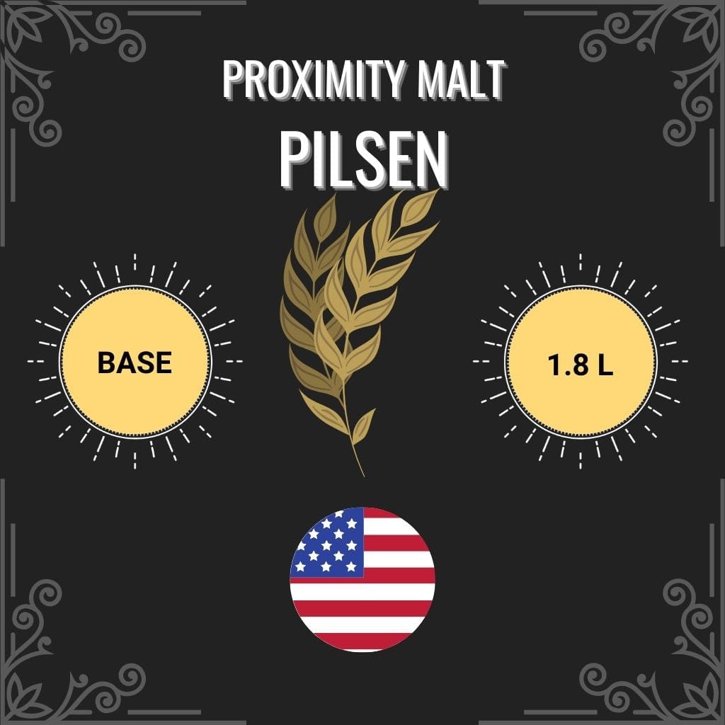 Pilsen Pilsner Malt - (Proximity Malt) 