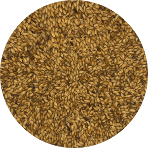 Special B (Special Belgium) - (Dingemans) - BrewSRQ