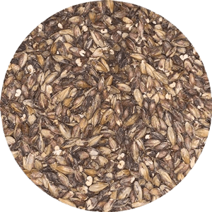 Special Roast - (Briess) - BrewSRQ