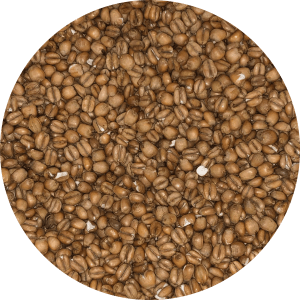 Torrefied Wheat - (Crisp) - BrewSRQ